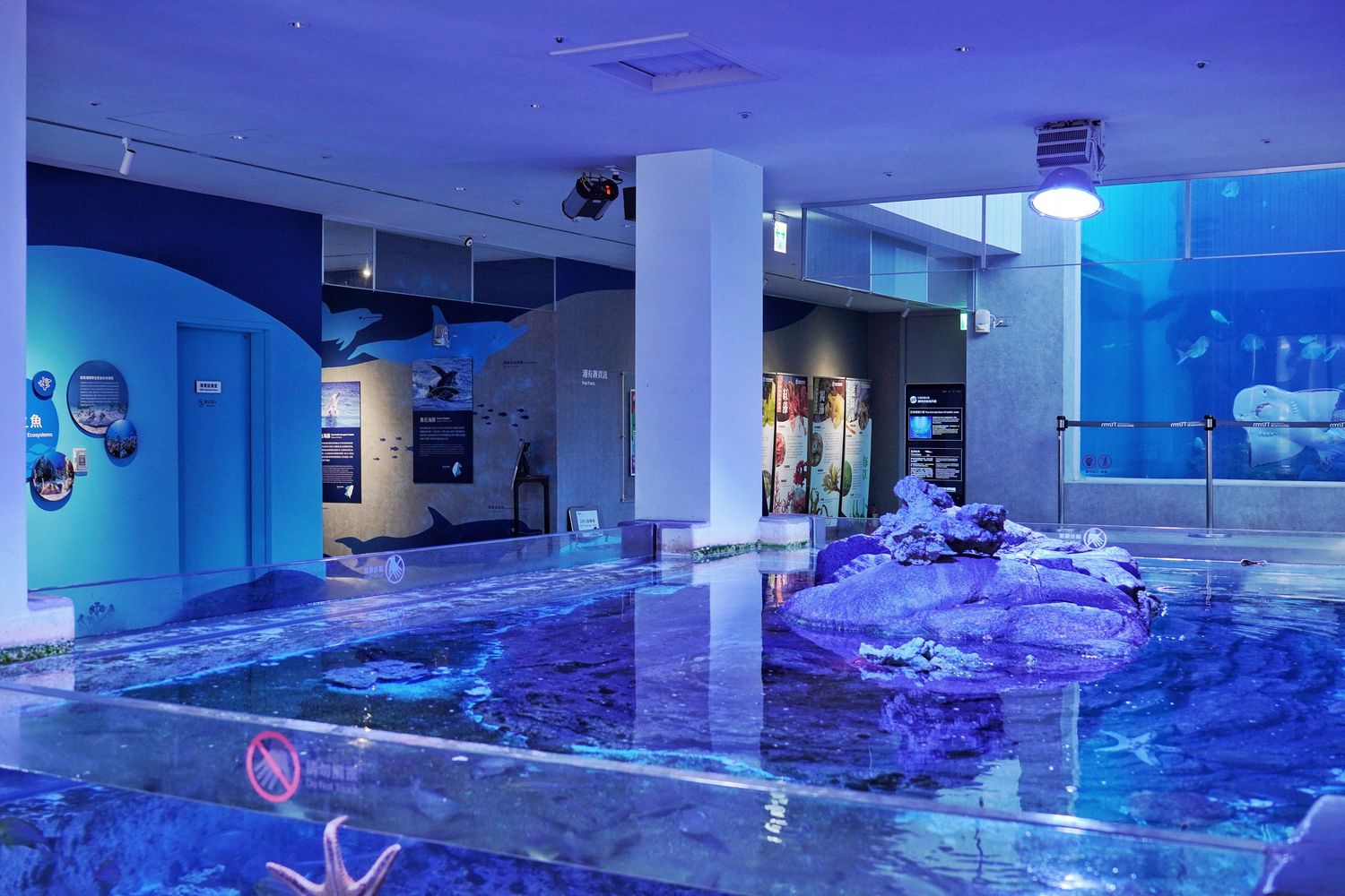 【基隆潮境智能海洋館】北部最強虛實整合實境水族館，四大展區搭配 5 G沉浸式體驗超好玩! @混血珊莎的奇幻旅程