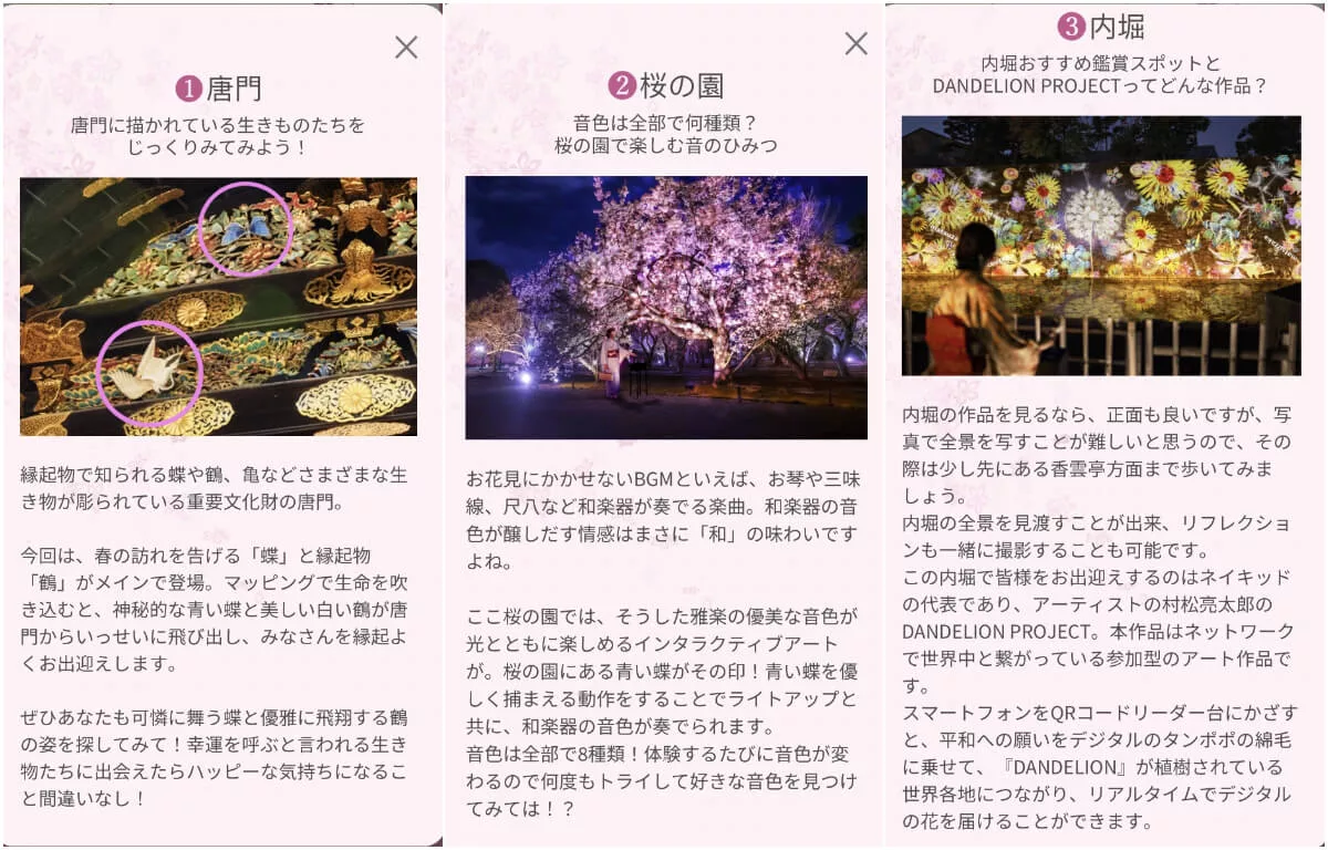 【二條城】NAKED FLOWERS 2023櫻 世界遺産二條城光雕秀，穿上和服賞京都夜櫻! @Sansa Blog-混血珊莎的奇幻旅程