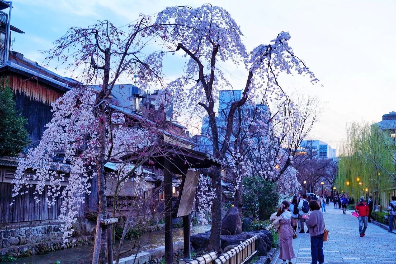 【京都賞櫻2023】必拍10大京都櫻花熱門景點，浪漫春日的必訪之地！ @Sansa Blog-混血珊莎的奇幻旅程