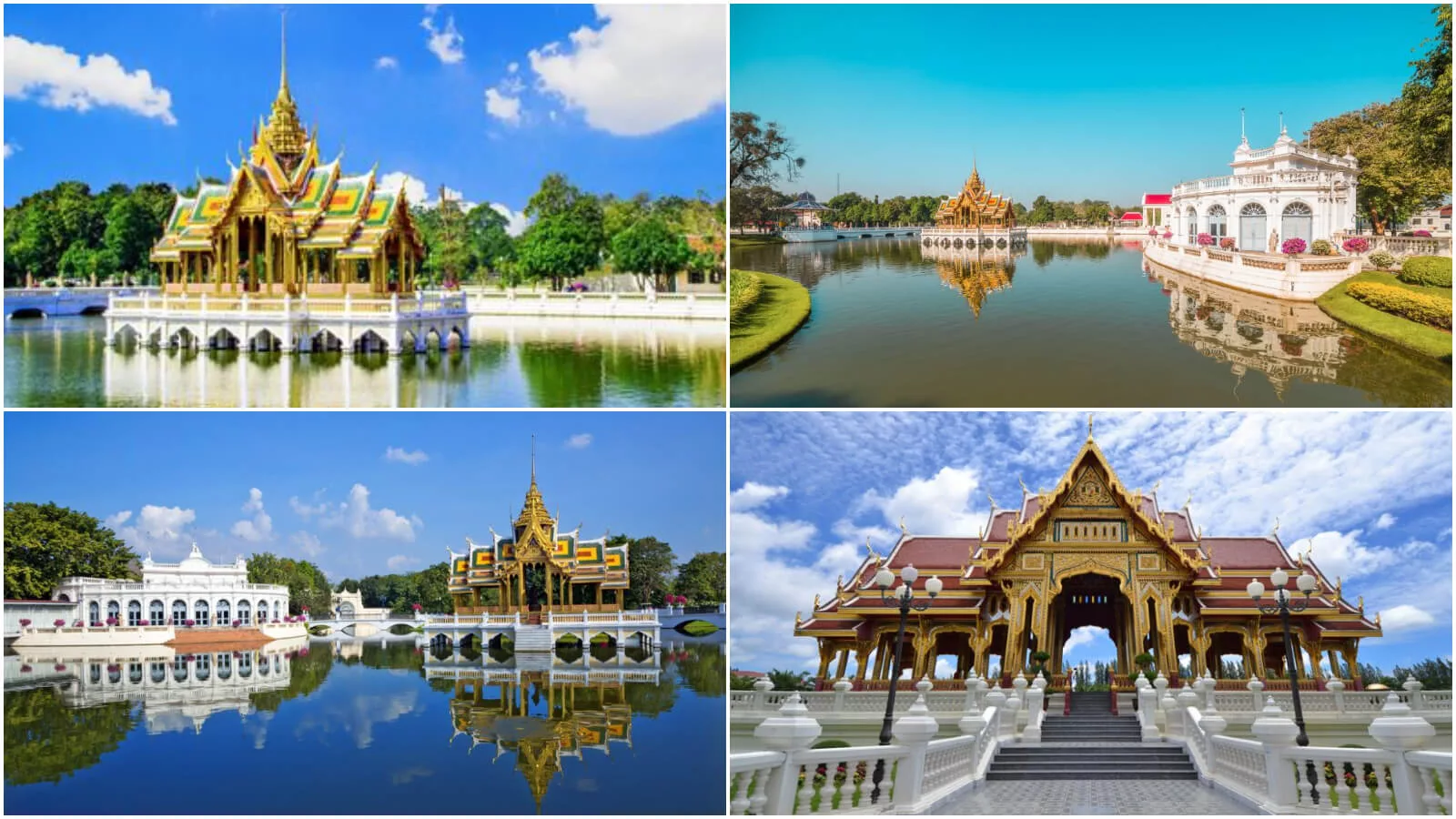 【2024泰國大城景點】精選 7 個大城一日遊景點，動物園、古蹟、市場全攻略! @混血珊莎的奇幻旅程