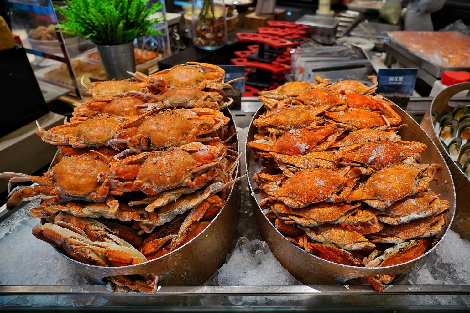 【2023螃蟹餐廳推薦】精選 15 間螃蟹吃到飽，新鮮肥美四季都吃得到! @混血珊莎的奇幻旅程