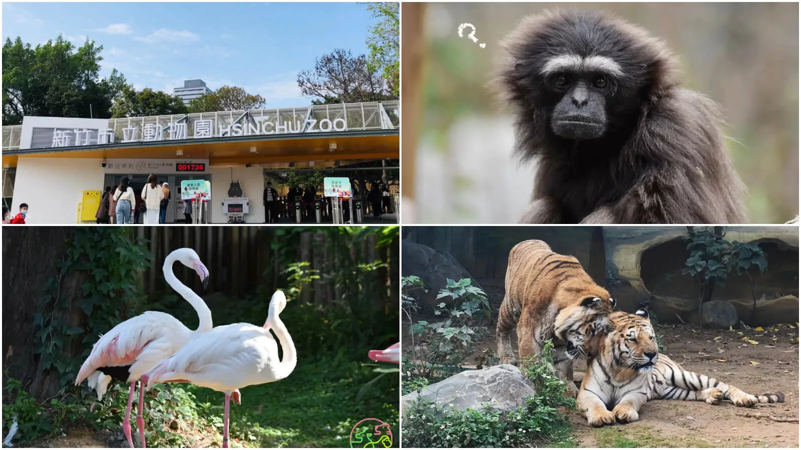 【2024新竹景點推薦】精選 18 個新竹一日遊景點，自然生態之美全攻略! @混血珊莎的奇幻旅程
